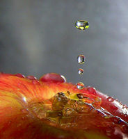 water-droplets-photography.jpg