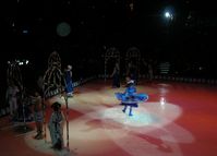 disneyonice200800013.jpg